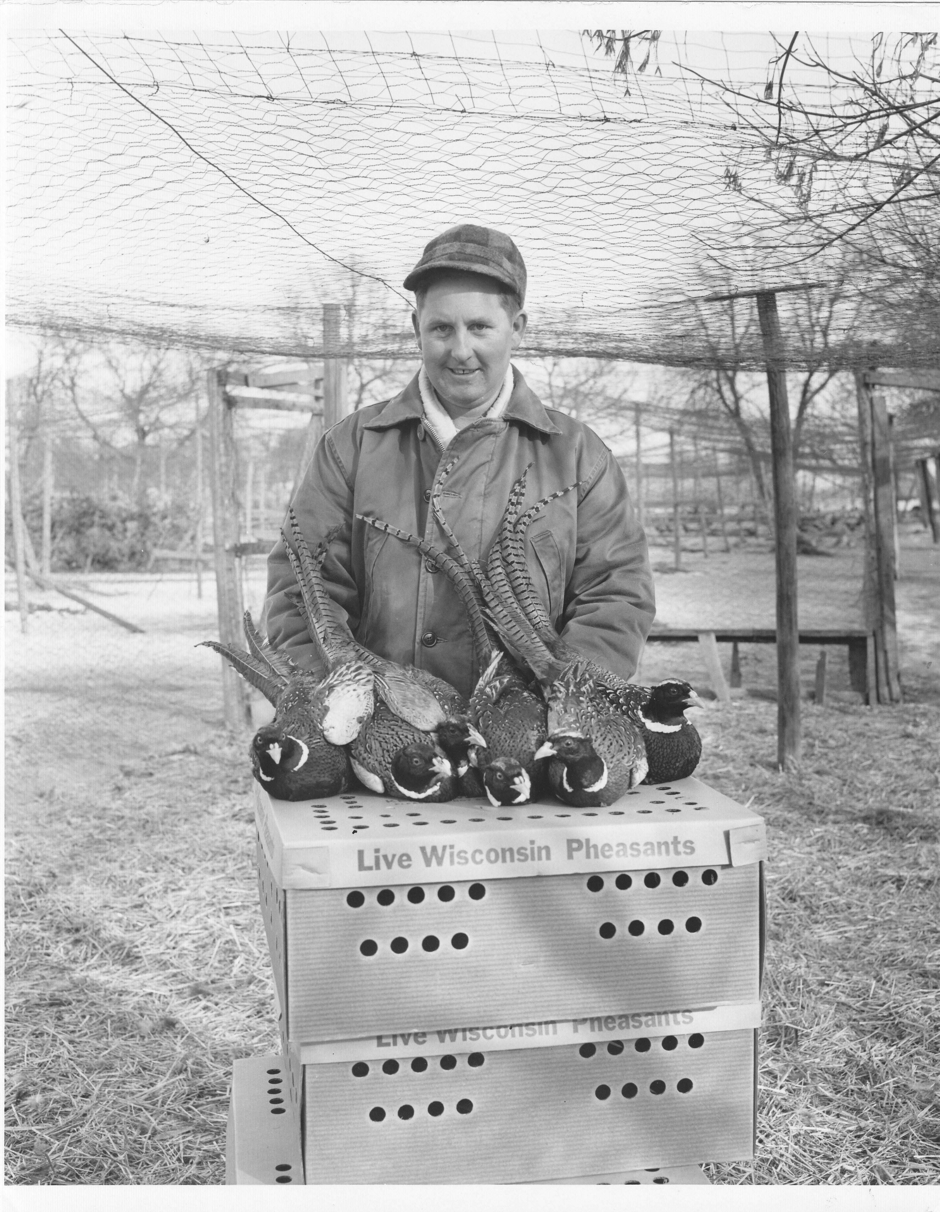 James Adamson with six MacFarlane Pheasants